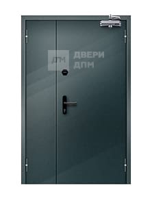 Противопожарная дверь глухая полуторная ДПМ-02 1-го типа взломостойкая